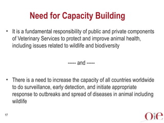 Global animal health challenges: The health pillar