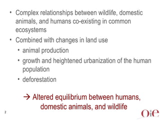 Global animal health challenges: The health pillar
