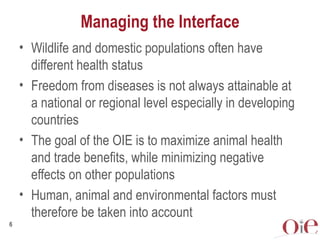 Global animal health challenges: The health pillar