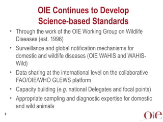 Global animal health challenges: The health pillar