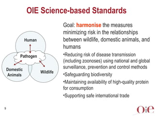 Global animal health challenges: The health pillar