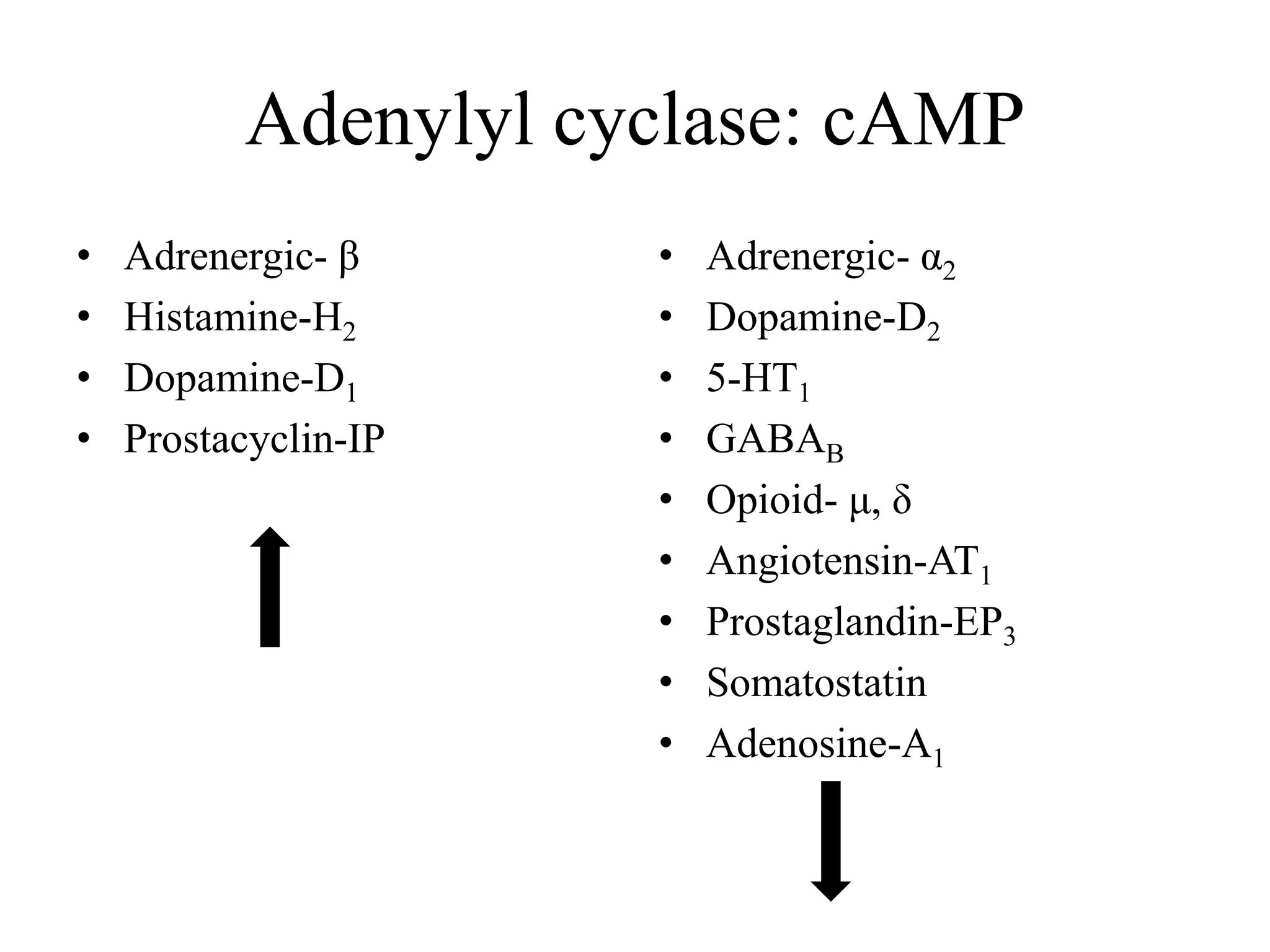 Adenylyl cyclase: cAMP
• Adrenergic- β
• Histamine-H2
• Dopamine-D1
• Prostacyclin-IP
• Adrenergic- α2
• Dopamine-D2
• 5-HT1
• GABAB
• Opioid- μ, δ
• Angiotensin-AT1
• Prostaglandin-EP3
• Somatostatin
• Adenosine-A1
 