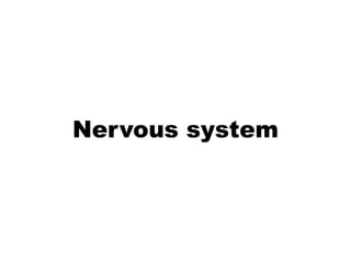 Nervous system
 
