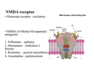 NMDA receptor
• Glutamate receptor –excitatory
• NMDA (N-Methyl-D-aspartate)
antagonist
1. Felbamate – epilepsy
2. Memantine – alzheimer’s
disease
3. Ketamine – general anaesthesia
4. Amantadine - parkinsonism
 