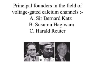 Principal founders in the field of
voltage-gated calcium channels :-
A. Sir Bernard Katz
B. Susumu Hagiwara
C. Harald Reuter
 
