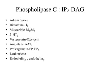 Phospholipase C : IP3-DAG
• Adrenergic- α1
• Histamine-H1
• Muscarinic-M1,M3
• 5-HT2
• Vasopressin-Oxytocin
• Angiotensin-AT1
• Prostaglandin-FP, EP3
• Leukotriene
• EndothelinA , endothelinB
 