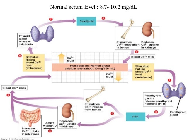 paroxysmal atrial flutter icd 10 paroxysmal atrial flutter icd 10