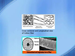 Textile Fiber and its Properties | PPTX