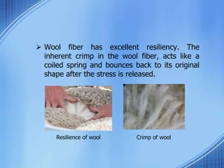 Textile Fiber and its Properties | PPTX