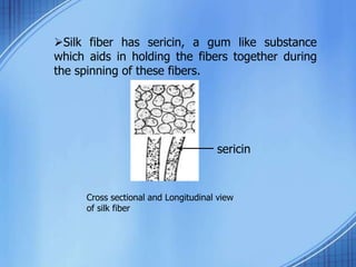 sericin
Cross sectional and Longitudinal view
of silk fiber
Silk fiber has sericin, a gum like substance
which aids in holding the fibers together during
the spinning of these fibers.
 