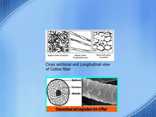 Cross sectional and Longitudinal view
of Cotton fiber
 