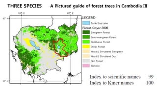 THREE SPECIES A Pictured guide of forest trees in Cambodia III
 