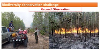 Biodiversity conservation challenge
Ground Observation
 