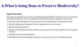 Legal Protection:
168 countries signed the Convention on Biological Diversity(CBD), commonly known as the internat
ional biodiversity treaty. The key components of the CBD are that the signatory countries will:
 Develop national strategies for the conservation and sustainable use of biological diversity.
 Identify components of biological diversity important for its conservation.
 Monitor biological diversity.
 Identify activities that have adverse impacts on the conservation and sustainable use of biological
diversity .
 Establish a system of protected areas.
 Rehabilitate and restore degraded ecosystems promote the recovery of threatened species.
25
6.What is being Done to Preserve Biodiversity?
 