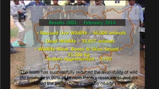 Results 2001 - February 2014
• Rescued Live Wildlife – 56,000 animals
• Dead Wildlife – 33,827 animals
• Wildlife Meat, Bones & Skins Seized –
11,500 kg
• Traders Apprehended – 2,792
The team has successfully reduced the availability of wild
life products in 90% of Phnom Penh’s restaurants and dis
rupted the trade country-wide by nearly 75%.
 
