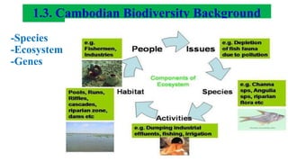 1.3. Cambodian Biodiversity Background
-Species
-Ecosystem
-Genes
 