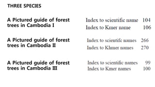THREE SPECIES
A Pictured guide of forest
trees in Cambodia I
A Pictured guide of forest
trees in Cambodia II
A Pictured guide of forest
trees in Cambodia III
 