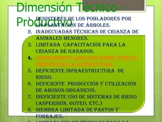 Dimensión Técnico -
Productivo1. Desinterés de los pobladores por
la plantación de árboles.
2. inadecuadas técnicas de crianza de
animales menores.
3. Limitada capacitación para la
crianza de ganados.
4. Conocimiento limitado sobre todo el
proceso de la agricultura.
5. Deficiente infraestructura de
riego.
6. Deficiente producción y utilización
de abonos orgánicos.
7. Ineficiente uso de sistemas de riego
(aspersión, goteo, etc.)
8. siembra limitada de pastos y
forrajes.
 
