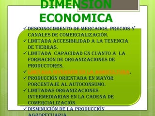 DIMENSION
ECONOMICA
 Desconocimiento de mercados, precios y
canales de comercialización.
 Limitada accesibilidad a la tenencia
de tierras.
 Limitada capacidad en cuanto a la
formación de organizaciones de
productores.
 Limitada inversión en la agricultura.
 Producción orientada en mayor
porcentaje al autoconsumo.
 Limitadas organizaciones
intermediarias en la cadena de
comercialización.
 disminución de la producción
 