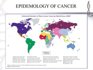 EPIDEMOLOGY OF CANCER

 