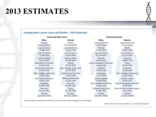 2013 ESTIMATES

 