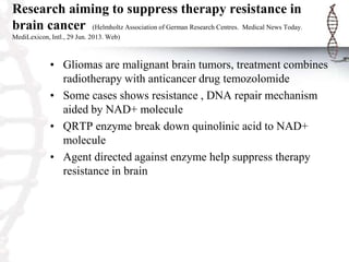 Research aiming to suppress therapy resistance in
brain cancer (Helmholtz Association of German Research Centres. Medical News Today.
MediLexicon, Intl., 29 Jun. 2013. Web)

• Gliomas are malignant brain tumors, treatment combines
radiotherapy with anticancer drug temozolomide
• Some cases shows resistance , DNA repair mechanism
aided by NAD+ molecule
• QRTP enzyme break down quinolinic acid to NAD+
molecule
• Agent directed against enzyme help suppress therapy
resistance in brain

 