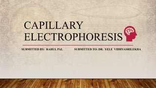 CAPILLARY
ELECTROPHORESIS
SUBMITTED BY: RAHUL PAL SUBMITTED TO: DR. YELE VIDHYASRILEKHA
 