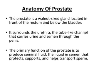 Anatomy Of Prostate
• The prostate is a walnut-sized gland located in
front of the rectum and below the bladder.
• It surrounds the urethra, the tube-like channel
that carries urine and semen through the
penis.
• The primary function of the prostate is to
produce seminal fluid, the liquid in semen that
protects, supports, and helps transport sperm.
 