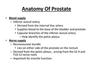 Anatomy Of Prostate
• Blood supply
– Inferior vesical artery
• Derived from the internal iliac artery
• Supplies blood to the base of the bladder and prostate
• Capsular branches of the inferior vesical artery
– Help identify the pelvic plexus
• Nerve supply
– Neurovascular bundle
• Lies on either side of the prostate on the rectum
– Derived from the pelvic plexus , arising from the S2-4 and
T10-12 nerve roots
– Important for erectile function.
 