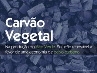 Imagem – ArcelorMittal /Eduardo Rocha
Carvão
Vegetal
na produção do Aço Verde. Solução renovável a
favor de uma economia de baixo carbono.
 