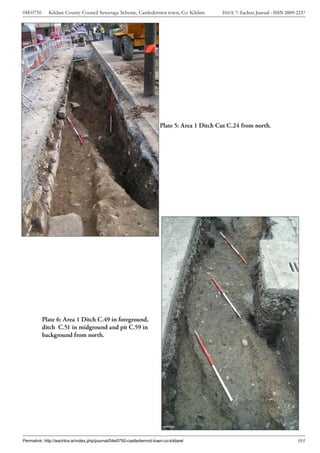 04E0750      Kildare County Council Sewerage Scheme, Castledermot town, Co. Kildare           ISSUE 7: Eachtra Journal - ISSN 2009-2237




                                                                       Plate 5: Area 1 Ditch Cut C.24 from north.




          Plate 6: Area 1 Ditch C.49 in foreground,
          ditch C.51 in midground and pit C.59 in
          background from north.




Permalink: http://eachtra.ie/index.php/journal/04e0750-castledermot-town-co-kildare/                                               105
 