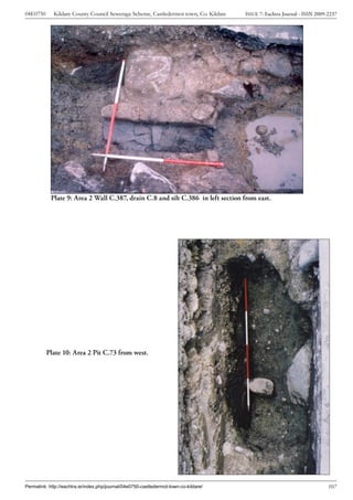 04E0750      Kildare County Council Sewerage Scheme, Castledermot town, Co. Kildare    ISSUE 7: Eachtra Journal - ISSN 2009-2237




            Plate 9: Area 2 Wall C.387, drain C.8 and silt C.386 in left section from east.




          Plate 10: Area 2 Pit C.73 from west.




Permalink: http://eachtra.ie/index.php/journal/04e0750-castledermot-town-co-kildare/                                        107
 