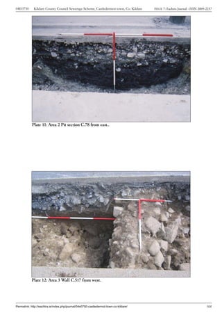 04E0750      Kildare County Council Sewerage Scheme, Castledermot town, Co. Kildare    ISSUE 7: Eachtra Journal - ISSN 2009-2237




            Plate 11: Area 2 Pit section C.78 from east..




            Plate 12: Area 3 Wall C.517 from west.




Permalink: http://eachtra.ie/index.php/journal/04e0750-castledermot-town-co-kildare/                                        108
 