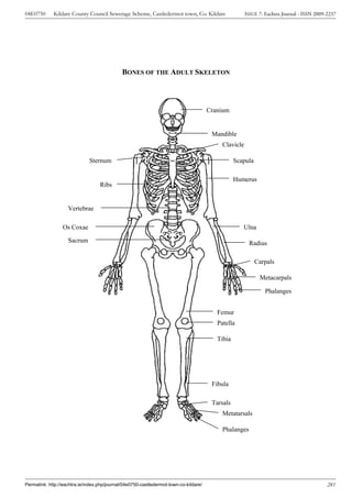 04E0750      Kildare County Council Sewerage Scheme, Castledermot town, Co. Kildare                    ISSUE 7: Eachtra Journal - ISSN 2009-2237




                                              BONES OF THE ADULT SKELETON



                                                                                       Cranium


                                                                                        Mandible
                                                                                            Clavicle

                              Sternum                                                             Scapula

                                                                                                  Humerus
                                   Ribs


                    Vertebrae

                 Os Coxae                                                                            Ulna

                    Sacrum                                                                              Radius

                                                                                                            Carpals

                                                                                                             Metacarpals

                                                                                                                Phalanges


                                                                                          Femur
                                                                                          Patella

                                                                                          Tibia




                                                                                        Fibula

                                                                                        Tarsals
                                                                                            Metatarsals

                                                                                            Phalanges




Permalink: http://eachtra.ie/index.php/journal/04e0750-castledermot-town-co-kildare/                                                        281
 