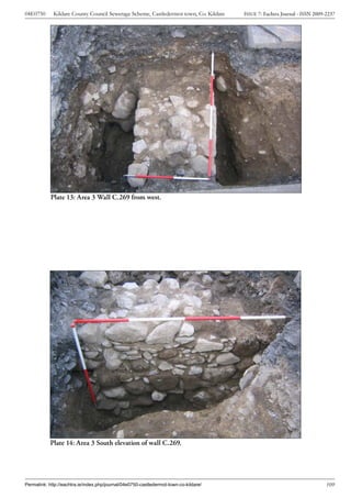 Archaeological Report -  Castledermot Town, Co. Kildare (Ireland) Slide 119