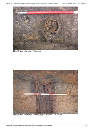 Archaeological Report -  Castledermot Town, Co. Kildare (Ireland) Slide 128