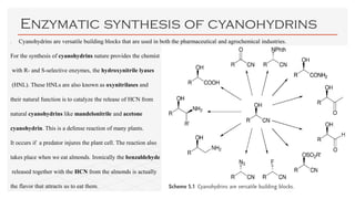 Hydroxynitrile Examples Catalysis | PDF