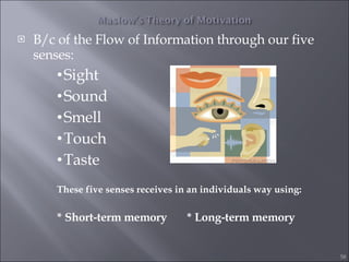 <ul><li>B/c of the Flow of Information through our five senses: </li></ul><ul><ul><ul><ul><li>Sight  </li></ul></ul></ul><...