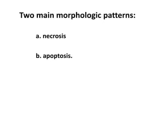 Two main morphologic patterns:
a. necrosis
b. apoptosis.
 