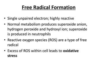 Free Radical Formation
• Single unpaired electron; highly reactive
• Normal metabolism produces superoxide anion,
hydrogen peroxide and hydroxyl ion; superoxide
is produced in neutrophils
• Reactive oxygen species (ROS) are a type of free
radical
• Excess of ROS within cell leads to oxidative
stress
 