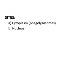SITES:
a) Cytoplasm (phagolysosomes)
b) Nucleus
 