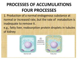 PROCESSES OF ACCUMULATIONS
FOUR PROCESSES
1. Production of a normal endogenous substance
at normal or increased rate, but the rate of
metabolism is inadequate to remove it. e.g., fatty
liver, reabsorption protein droplets in tubules of
kidney
 