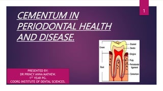 CEMENTUM IN
PERIODONTAL HEALTH
AND DISEASE.
1
PRESENTED BY:
DR PRINCY ANNA MATHEW.
1ST YEAR PG.
COORG INSTITUTE OF DENTAL SCIENCES.
 