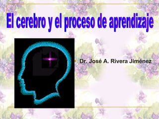 <ul><li>Dr. José A. Rivera Jiménez </li></ul>El cerebro y el proceso de aprendizaje 