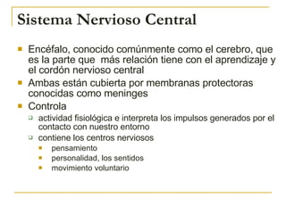 Sistema Nervioso Central <ul><li>Encéfalo, conocido comúnmente como el cerebro, que es la parte que  más relación tiene co...