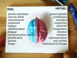 pensée globale synthétique analogies empirisme créativité imagination émotion intuition communication non verbale traitement de l'image pensée analytique sens du détail raisonnement séquentiel logique mathématique langage communication verbale planification gestion temps REEL VIRTUEL 