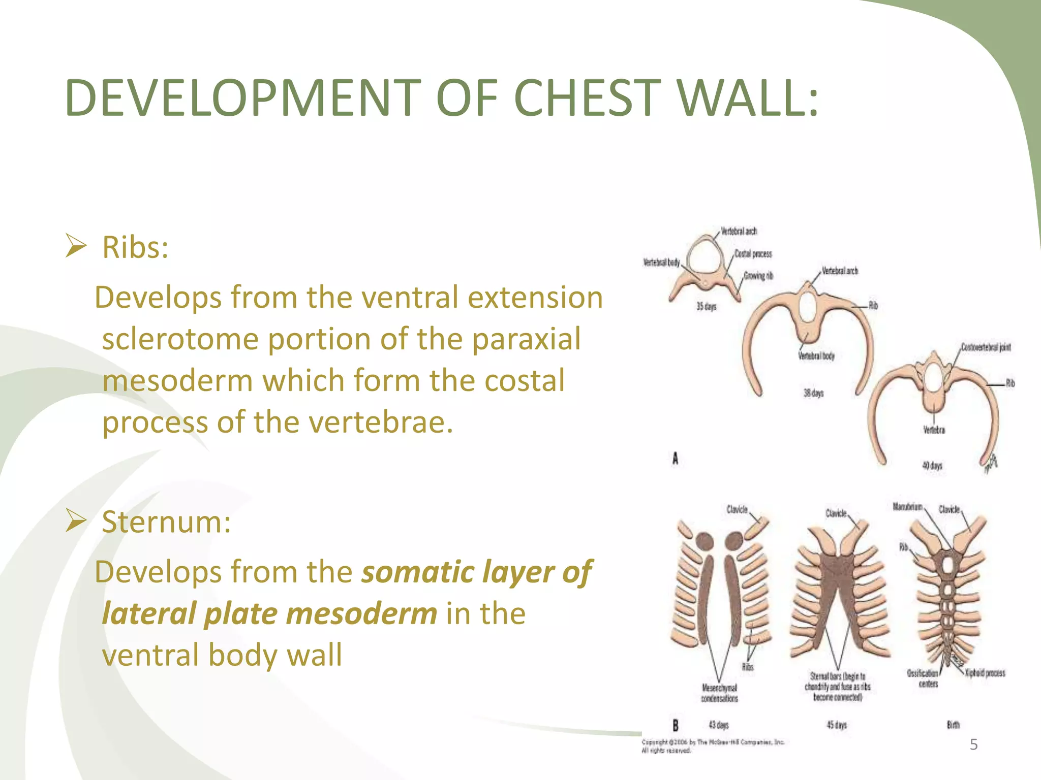 Congenital Chest Wall Abnormality | PPTX