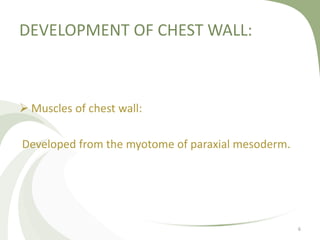 DEVELOPMENT OF CHEST WALL:
 Muscles of chest wall:
Developed from the myotome of paraxial mesoderm.
6
 