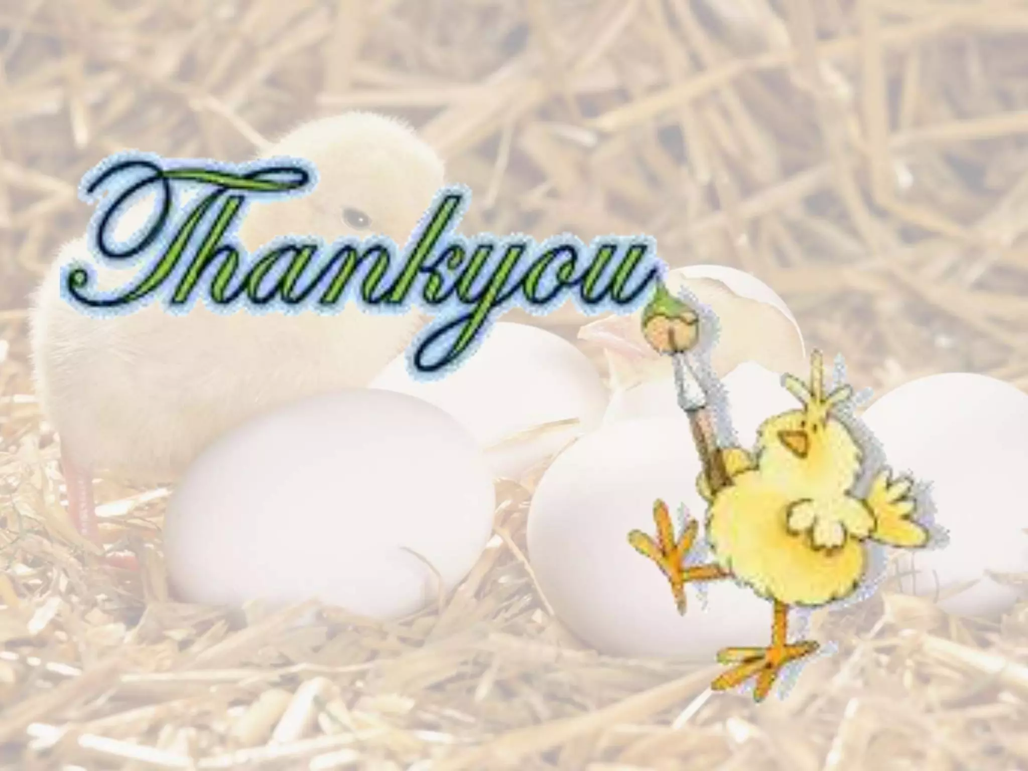 Final chick embryonic-development-ppt