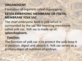 ORGANOGENY
Formation of organs is called organogeny.
EXTRA EMBRYONIC MEMBRANE OR FOETAL
MEMBRANE YOLK SAC
The chief embryonic food is yolk which is
surrounded by the sac like investing membrane
called yolk sac. Yolk sac is made up of
splanchopluere.
Function:
The function of yolk sac is to protect the yolk keep it
in position, digest and absorb it. Yolk sac serves as a
primary organ of nutrition of embryo.
 